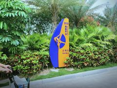 -演武大桥观景平台