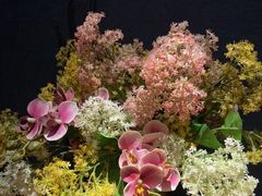 -江南足纪·影院足道·轻奢SPA(笋岗HALO广场店)