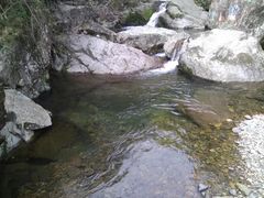 -东天目山风景区