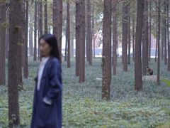 -河南省黄河迎宾馆