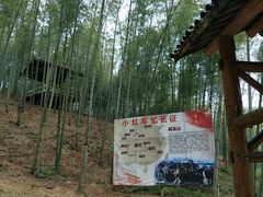 -宁波浙东大竹海景区