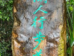 -深圳仙湖植物园