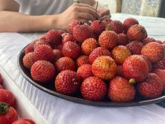 -她说户外烧烤团建(西湖店)