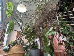 -懒人盐府人家·自贡大麻鱼(安贞店)
