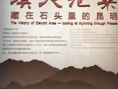 -昆明市博物馆(昆明市文物保护和考古研究中心)