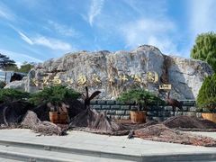 -北京西山国家森林公园