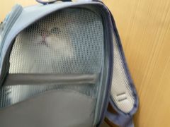 -瑞派·关忠动物医院·猫专科·犬专科(三环新城店)