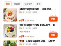 -维尔纳斯·生日蛋糕动物奶油冰淇淋蛋糕(人大店)