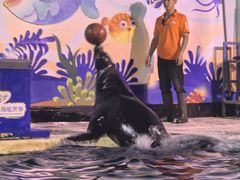 -太平洋海底世界