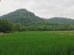-八卦田遗址公园