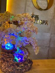 -栖SPA·ONDA ·海菲秀·皑皑科技美肤中心