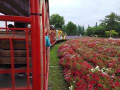 -歌斐颂巧克力小镇