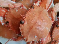 -长春高新益田福朋喜来登酒店·宜客乐标帜餐厅