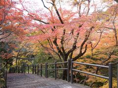 -管氏翅吧(护国寺店)