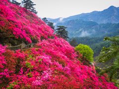 -木兰云雾山