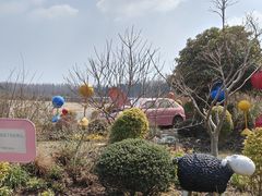 -东平国家森林公园