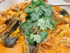-洞庭家宴·头牌甲鱼(广渠门店)