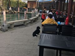 -湖鲜楼