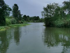 -桤木河湿地公园