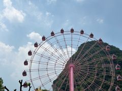 -柳州市动物园