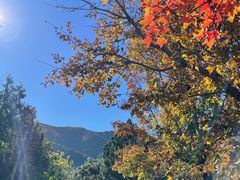 -阳台山自然风景区