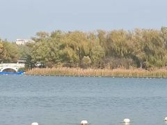 -大兴滨河森林公园