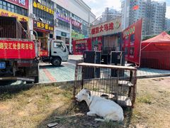 -贵州路便民市场