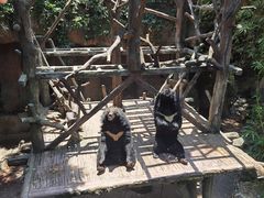 -长鹿旅游休博园