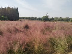 -艾溪湖湿地公园