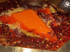 -蜀九香火锅(彩虹店)
