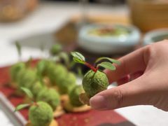 -荟廷·晶萃(陆家嘴尚悦湾店)