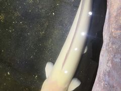 -鸿通城购物中心