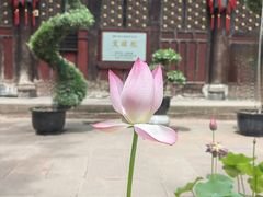 -成都市文殊院