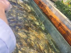 -川骄海鲜自助(河东店)