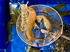 -象山小白象海鲜面