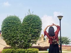 -东莞植物园