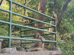 -黔灵山公园