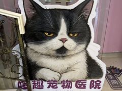 -哆趣宠物医院·眼科·内镜·急重症转诊中心(上海店)