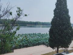 -素心小筑(后沙裕镇店)