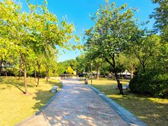 -海珠儿童公园