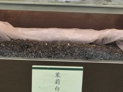-张一元(总店)