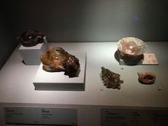 -台北故宫博物院