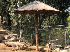 -北京野生动物园