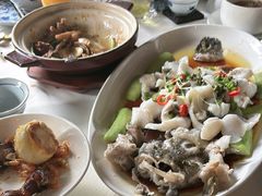 -侨美·唐荔园·40年地道粤菜