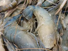 -星海汇海鲜自助烤肉火锅(百大店)