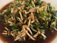 -荣生萝卜汤饭店