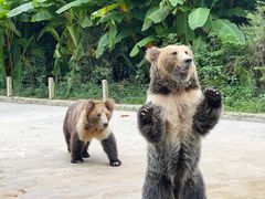 -贵州森林野生动物园