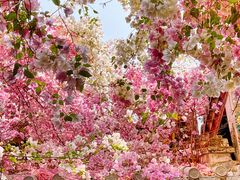 -深圳国际园林花卉博览园