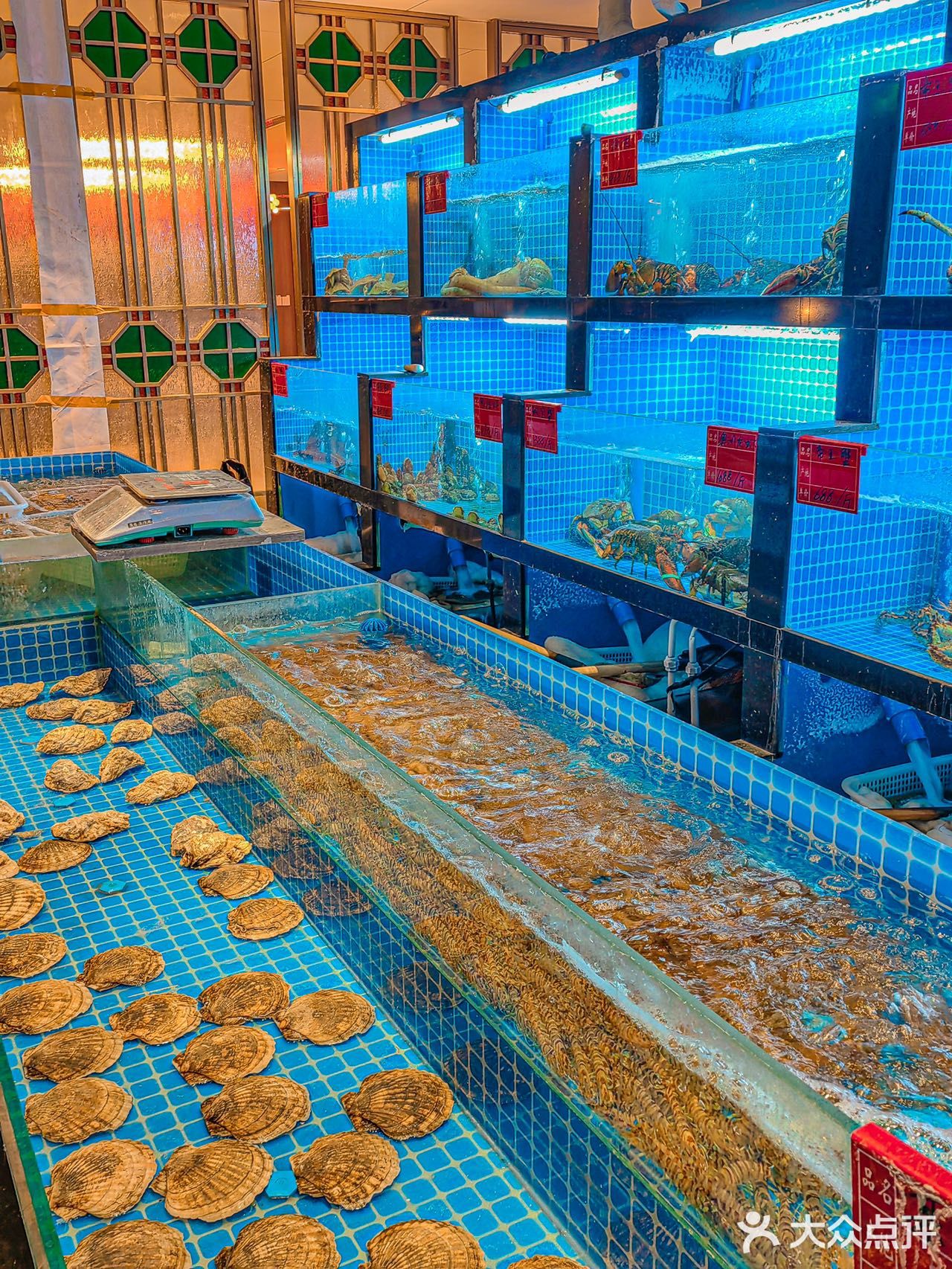 不夸张❗️这是我吃过坠好吃的粤菜了