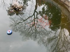-宝通禅寺